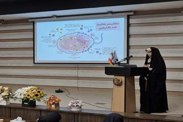 Seyyede Reyhaneh Pourseyyed Haghshenas